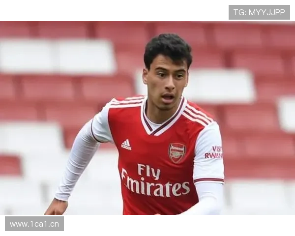 马丁内利：从新星到战术核心的成长路径解析